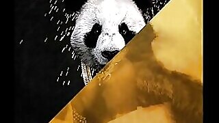 Der Panda V-Mix von Desiigner führt zu heißem Rubbeln, JLENS-Remix schlägt fehl.